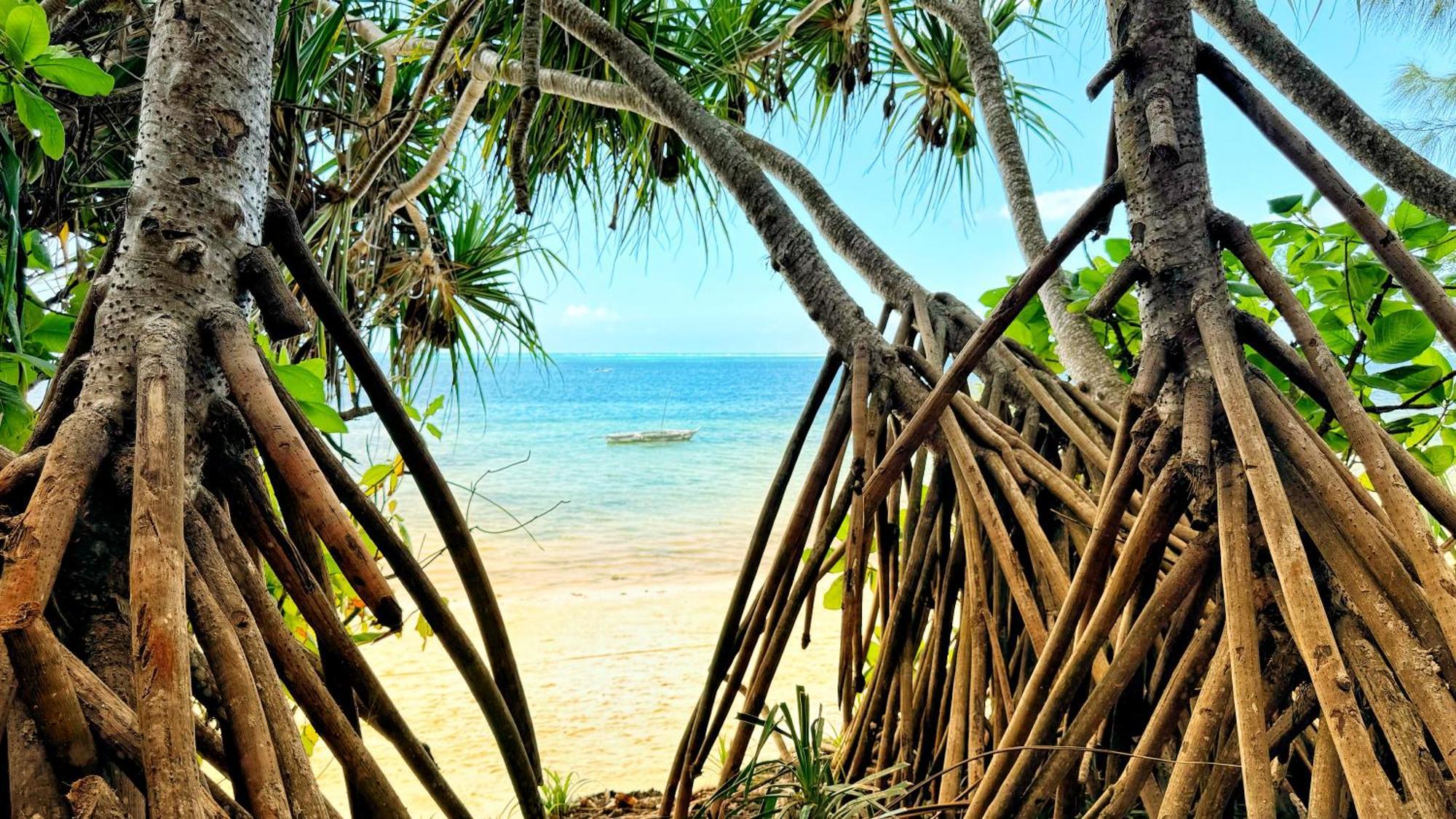 Z-Lodge Zanzibar Kiwengwa  Exterior foto